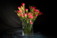 Load image into Gallery viewer, Floral Impressions 5