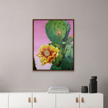 Load image into Gallery viewer, Texas Wonder