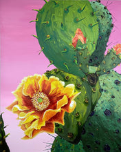 Load image into Gallery viewer, Texas Wonder