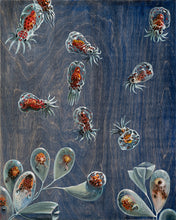 Load image into Gallery viewer, Octopodes