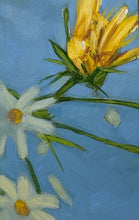 Load image into Gallery viewer, Sun splashing on tickweed (Coreopsis tinctoria)