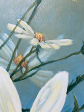 Load image into Gallery viewer, Sun splashing on tickweed (Coreopsis tinctoria)