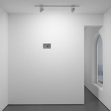 Load image into Gallery viewer, Desert Falcon