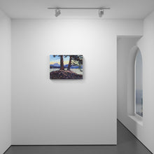 Load image into Gallery viewer, View from Rebecca Spit XVII (just after sunrise)