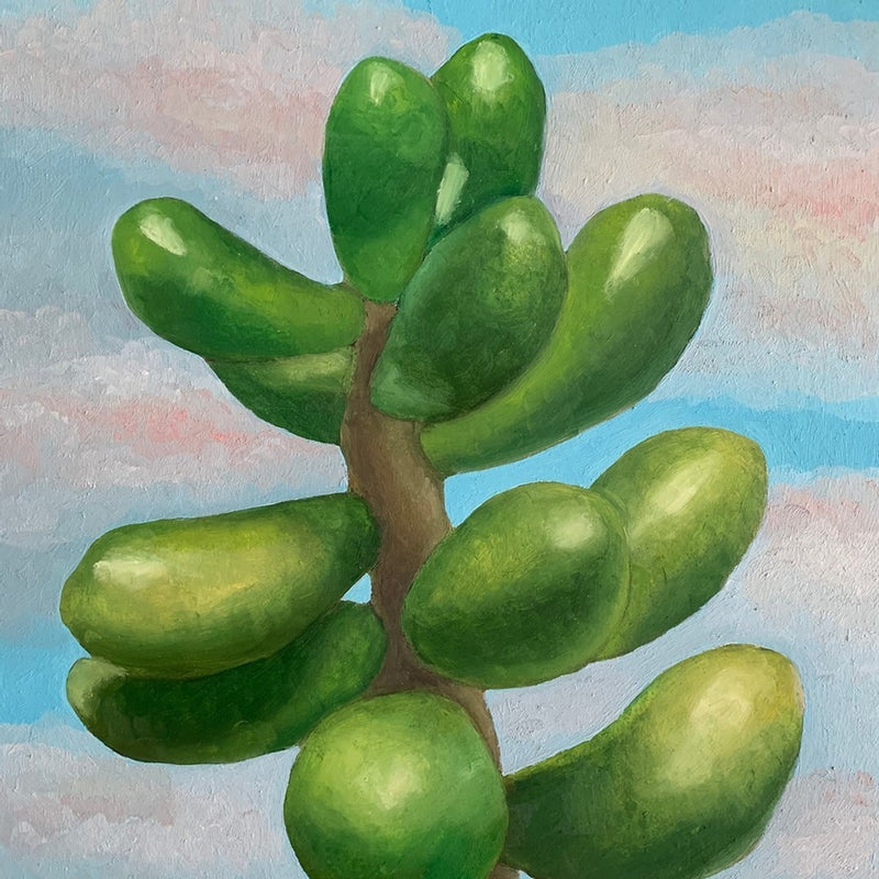 Plant Gumdrops with Pink Clouds