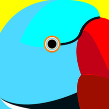 Load image into Gallery viewer, Blue Indian Ring-necked Parakeet
