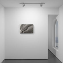 Load image into Gallery viewer, Dewey Petal