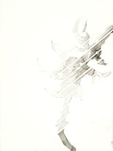 Load image into Gallery viewer, Parrot  3