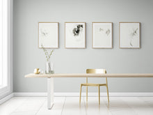 Load image into Gallery viewer, Parrot  3