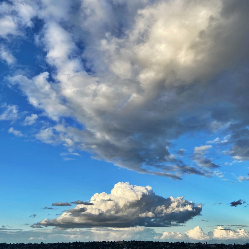 The Beauty of Change