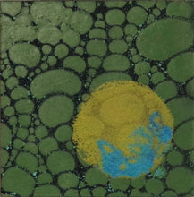 Load image into Gallery viewer, Spore