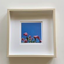 Load image into Gallery viewer, Dahlias