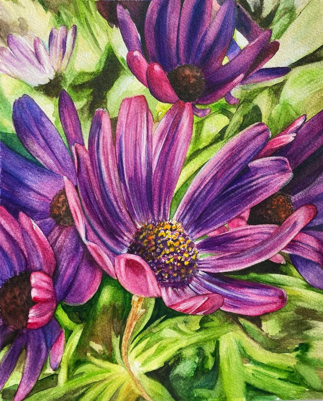 Purple daisy