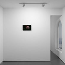 Load image into Gallery viewer, After the Rain