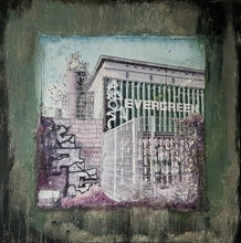 Load image into Gallery viewer, Advantages of being Evergreen- Berlin Street art