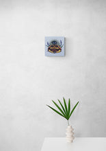 Load image into Gallery viewer, Magic toad