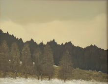 Load image into Gallery viewer, "Winter Morning"