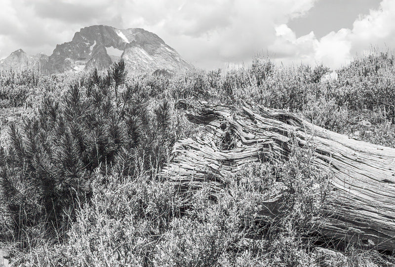 Grand Teton National Park