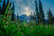 Load image into Gallery viewer, Rainier Sunset