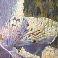 Load image into Gallery viewer, In Spring the wide, impulsive blossoms promise is of the fruit to come