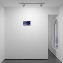 Load image into Gallery viewer, Pair Of African Orinoco Geese