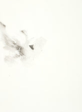 Load image into Gallery viewer, Parrot 4