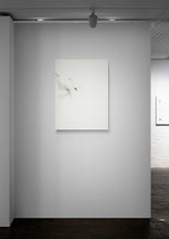 Load image into Gallery viewer, Parrot 4