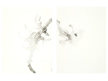 Load image into Gallery viewer, Parrot 4