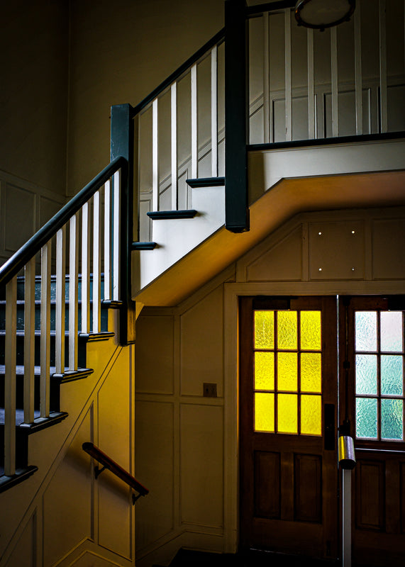 Little Yellow Softness