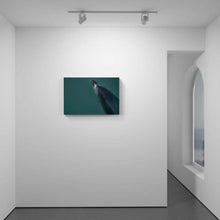 Load image into Gallery viewer, Dusky Dolphin