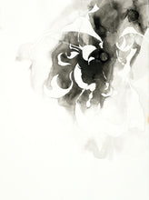 Load image into Gallery viewer, Parrot 1