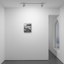 Load image into Gallery viewer, Growth