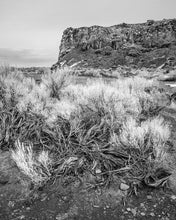 Load image into Gallery viewer, Growth