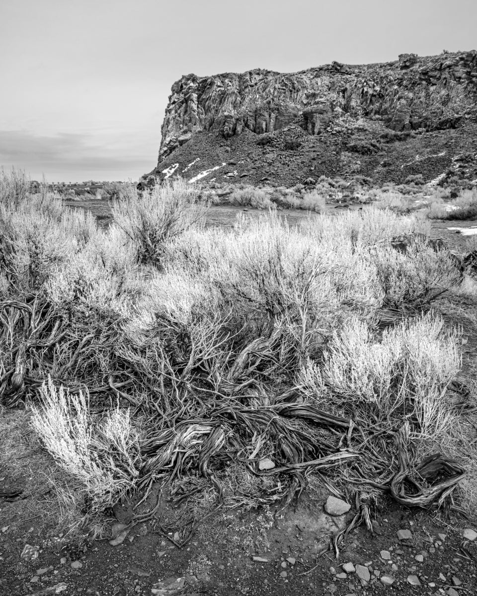 Landscapes