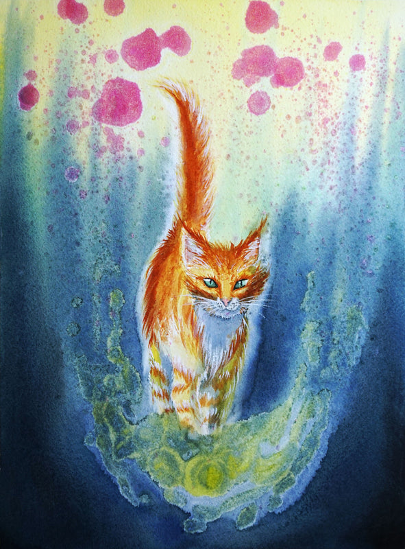 Cosmic Cat