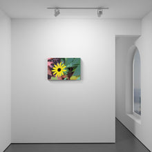 Load image into Gallery viewer, Be You