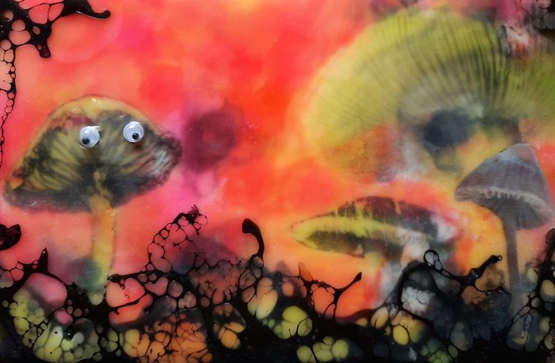 Mushroom Speed Dating