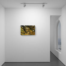 Load image into Gallery viewer, On Edges