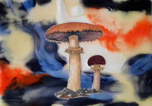 Load image into Gallery viewer, Regals, Pretties, and She's Fire Red