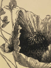 Load image into Gallery viewer, Opening up to show him the fire of my own heart