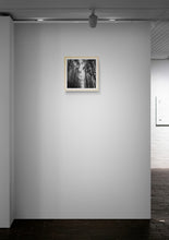 Load image into Gallery viewer, Trees