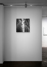 Load image into Gallery viewer, Trees