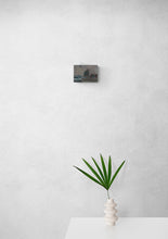 Load image into Gallery viewer, Gamera at Safeway