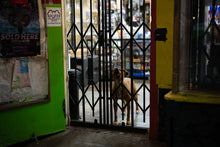 Load image into Gallery viewer, Tough Customer