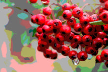 Load image into Gallery viewer, Ripe