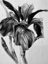 Load image into Gallery viewer, From the center of my life came deep blue shadows on azure seawater.