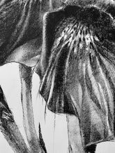 Load image into Gallery viewer, From the center of my life came deep blue shadows on azure seawater.