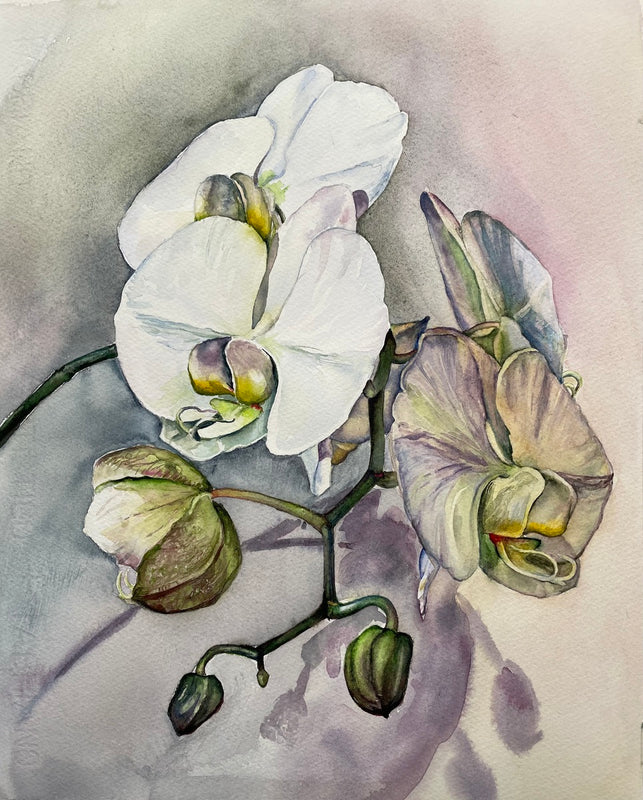 White Orchid 5
