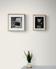 Load image into Gallery viewer, Melty