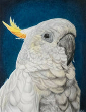 Load image into Gallery viewer, The Laureat